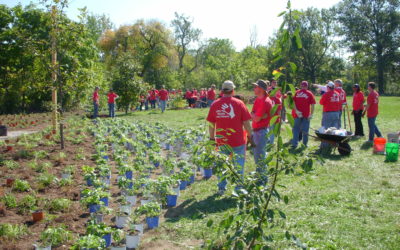 Destination Fall Creek Takes Root