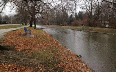 Rediscovering the Central Canal