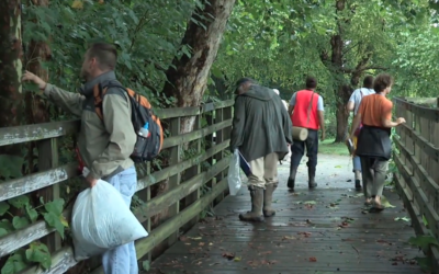 Indy Urban Bioblitz