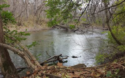 ROW Seeking Project Management Role for Fall Creek Waterway