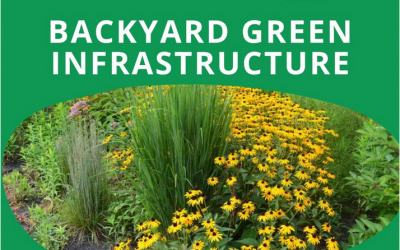 Backyard Water Solutions with Green Infrastructure