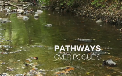 Help Restore an Historic Bridge Over Pogue’s Run