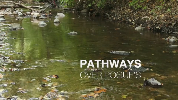 Help Restore an Historic Bridge Over Pogue’s Run